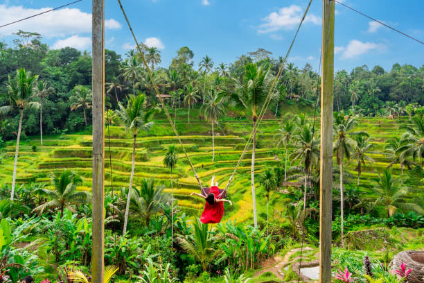 Ubud Tour  Image Packages